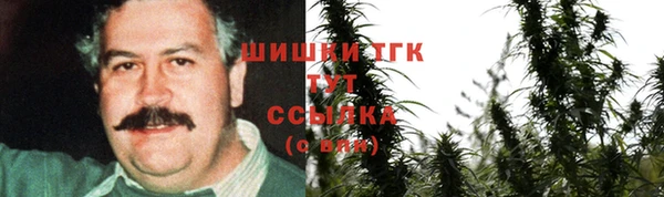 прущие крисы Абаза