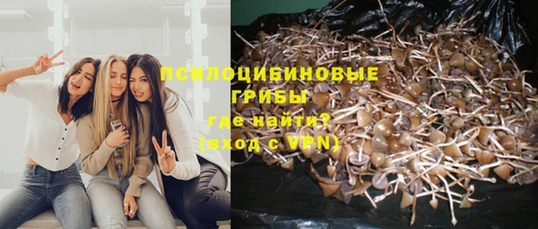 мяу мяу мука Алексеевка