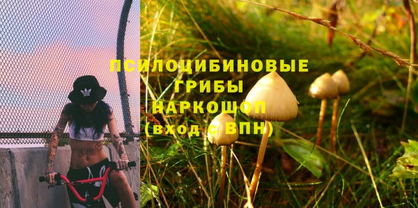 мяу мяу мука Алексеевка