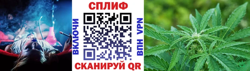 Бошки марихуана THC 21%  купить наркотики сайты  Хасавюрт 